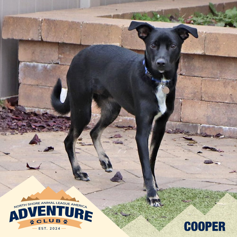 nsala_web_adventureclub_photos_cooper Huey