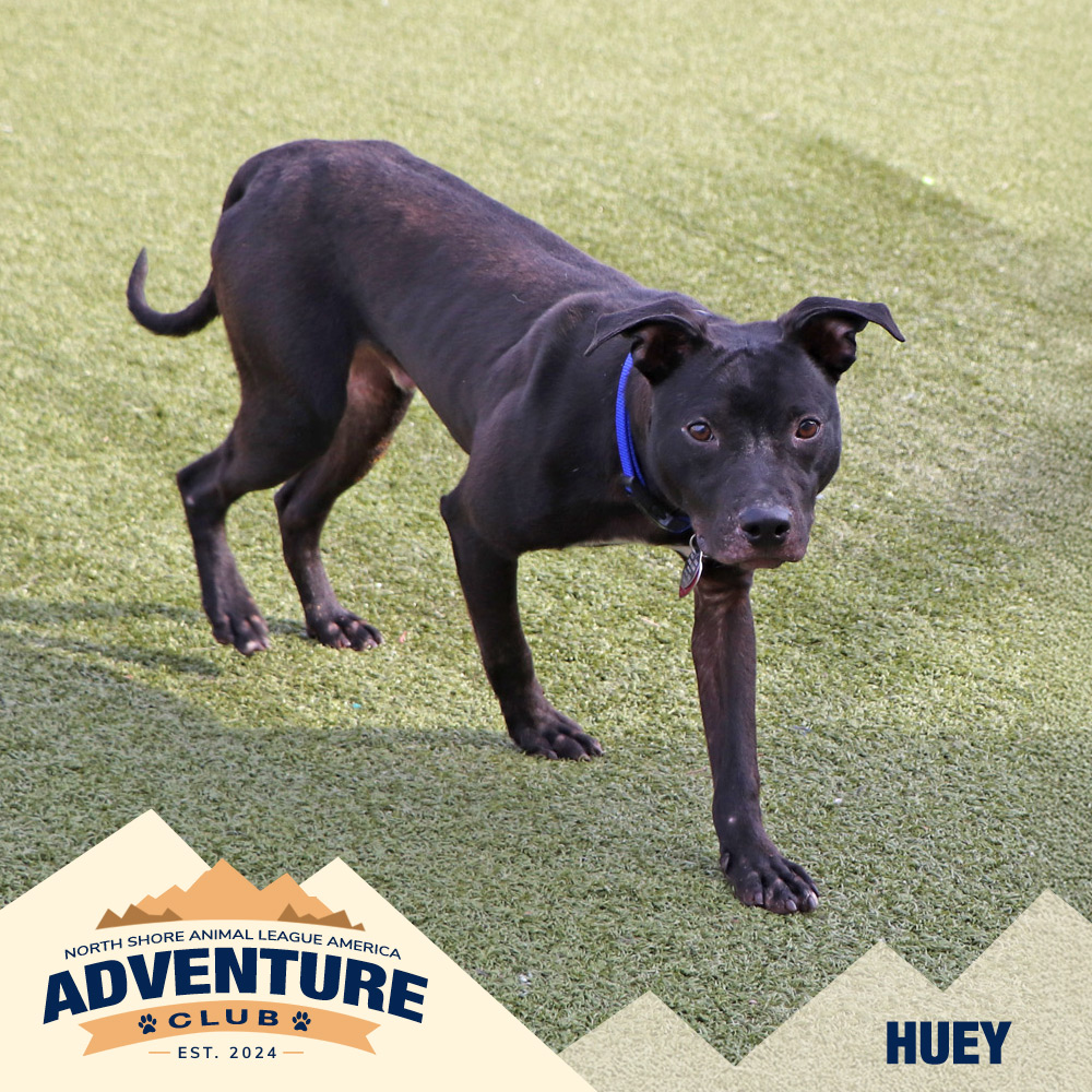 nsala_web_adventureclub_photos_huey Huey