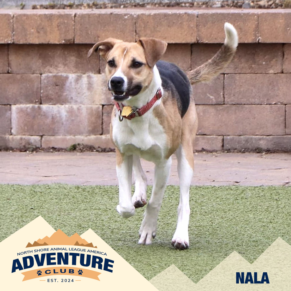 nsala_web_adventureclub_photos_nala Huey