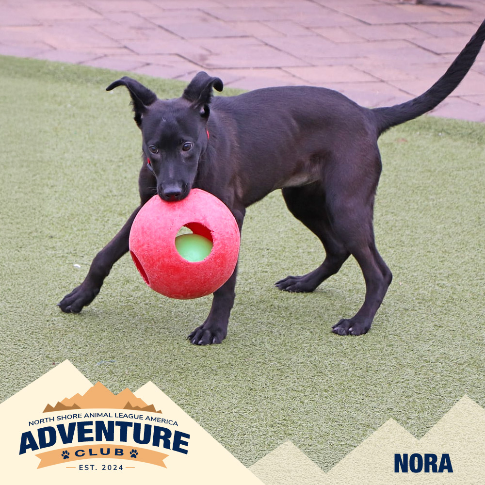 nsala_web_adventureclub_photos_nora Nora