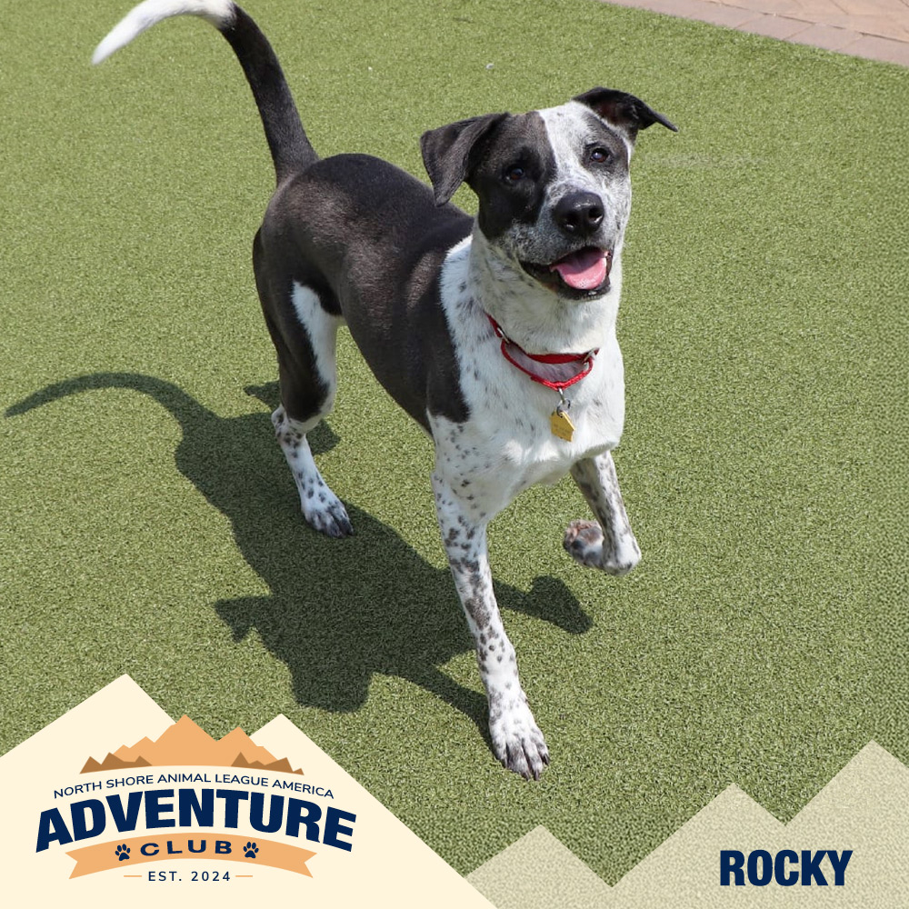 nsala_web_adventureclub_photos_rocky Rocky