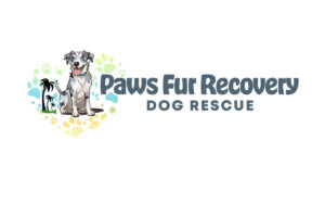 paws fur recovery dog rescue