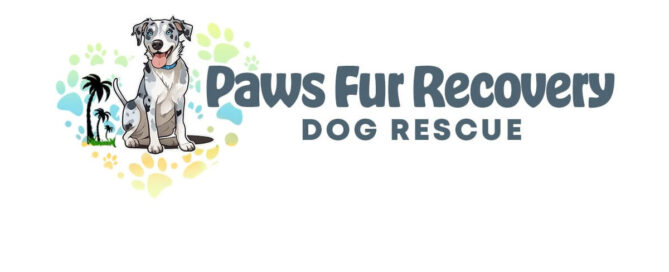 paws fur recovery dog rescue