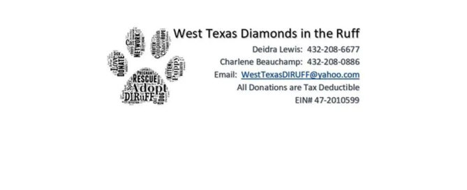 West Texas Diamonds in the Ruff & Kermit, Texas Animal Shelter