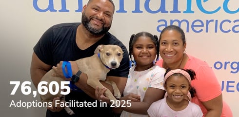 70,605 Adoptions Facilitated in 2025