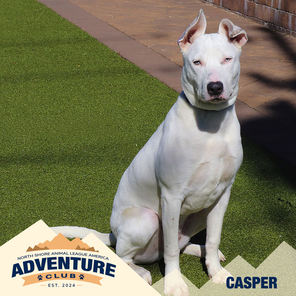 nsala_web_adventureclub_photos_CASPER Casper