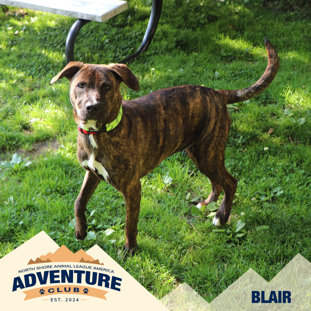 nsala_web_adventureclub_photos_blair Rocky