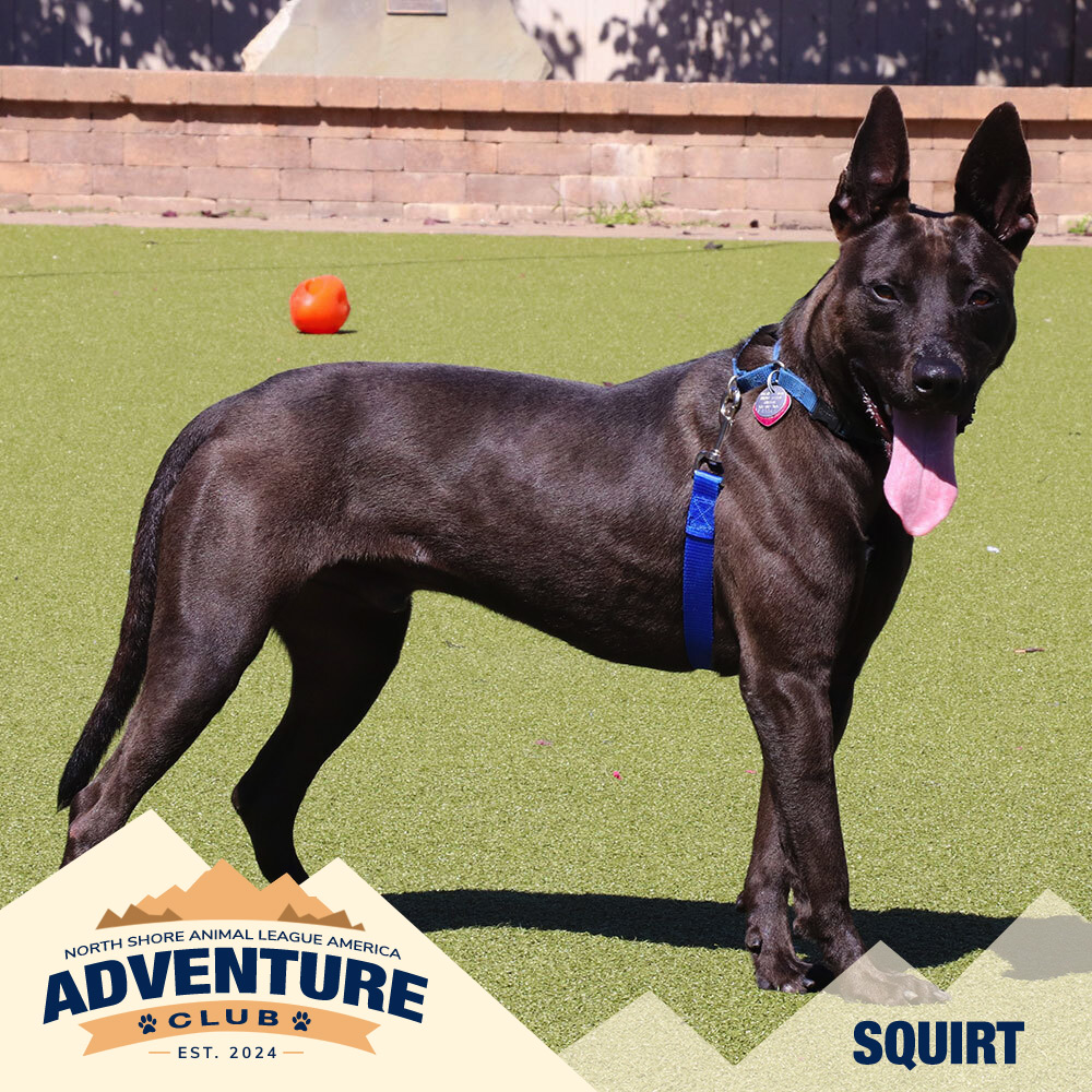 nsala_web_adventureclub_photos_squirt Squirt