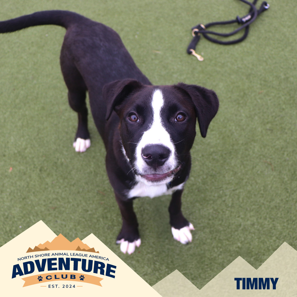 nsala_web_adventureclub_photos_timmy Rodney