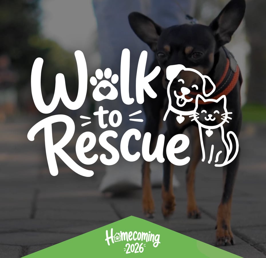 nsala_2026_walktorescue_web_bg_hero_mob_1