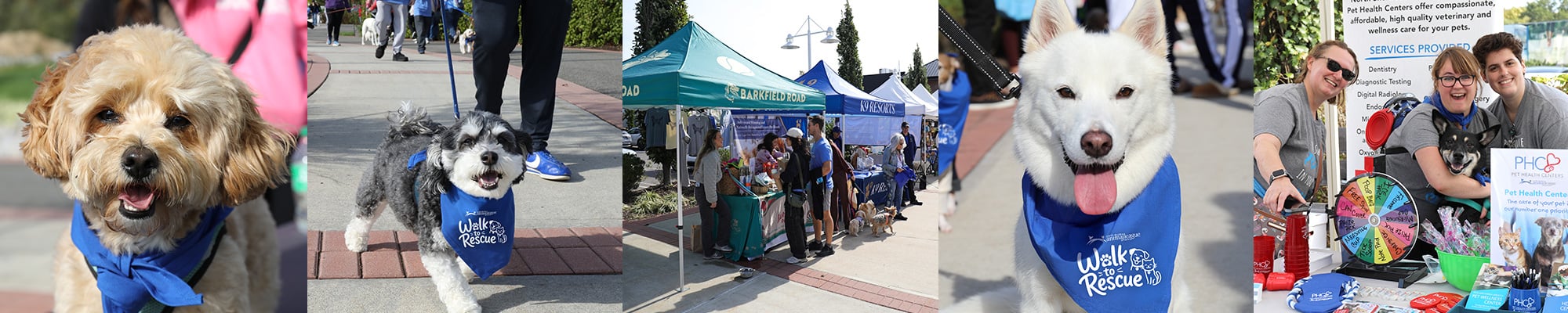 nsala_2026_walktorescue_web_image_event_1