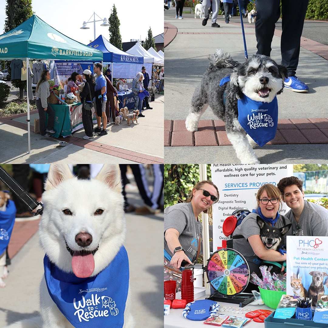 nsala_2026_walktorescue_web_image_event_1_mob