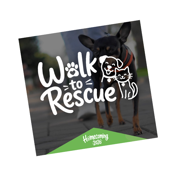 nsala_2026_walktorescue_web_resources3b