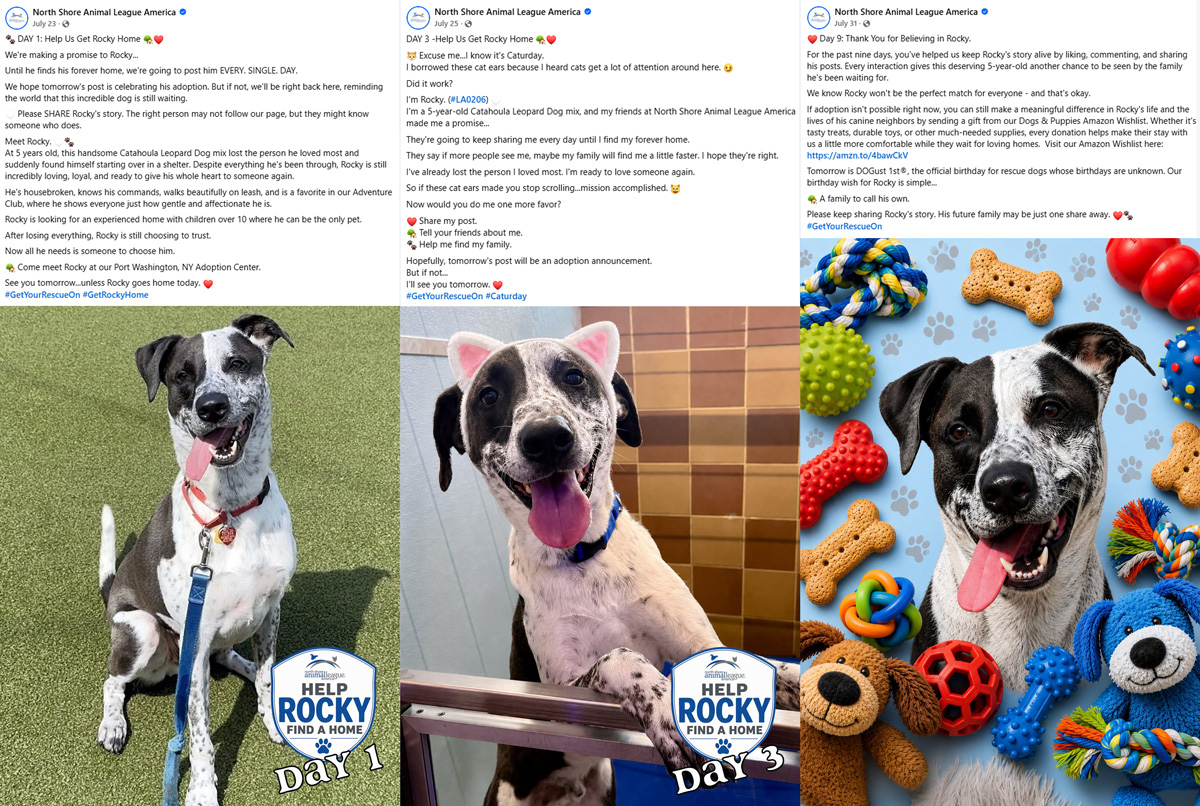 Going the Distance for Rocky