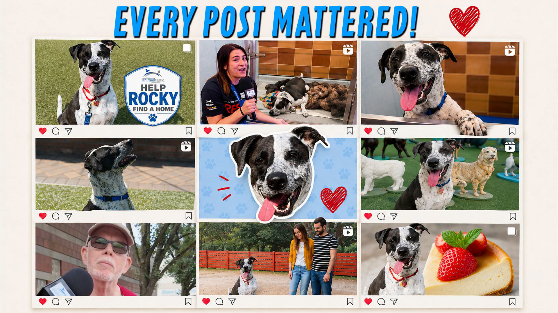 Going the Distance for Rocky