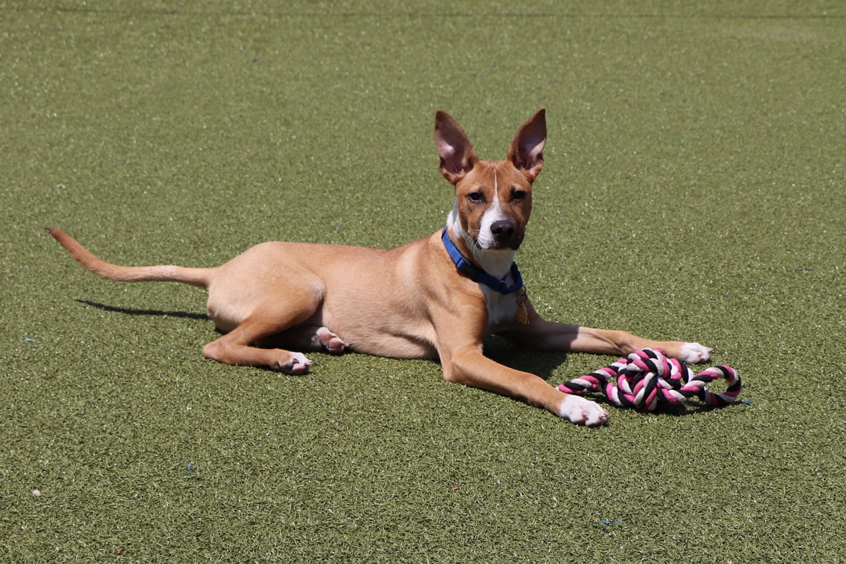 When a Foster Home Changes Everything