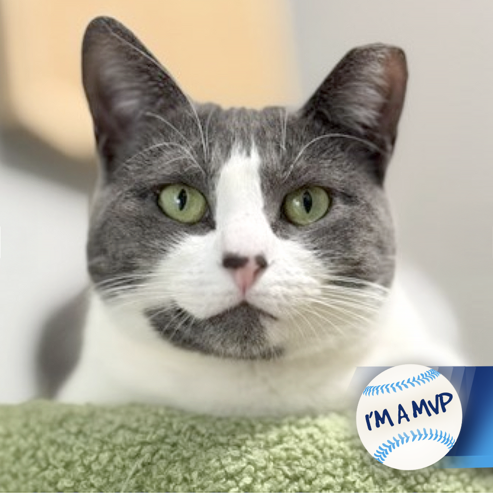 Meet Peppermint